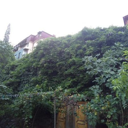 Apartment Marina Τυφλίδα Εξωτερικό φωτογραφία